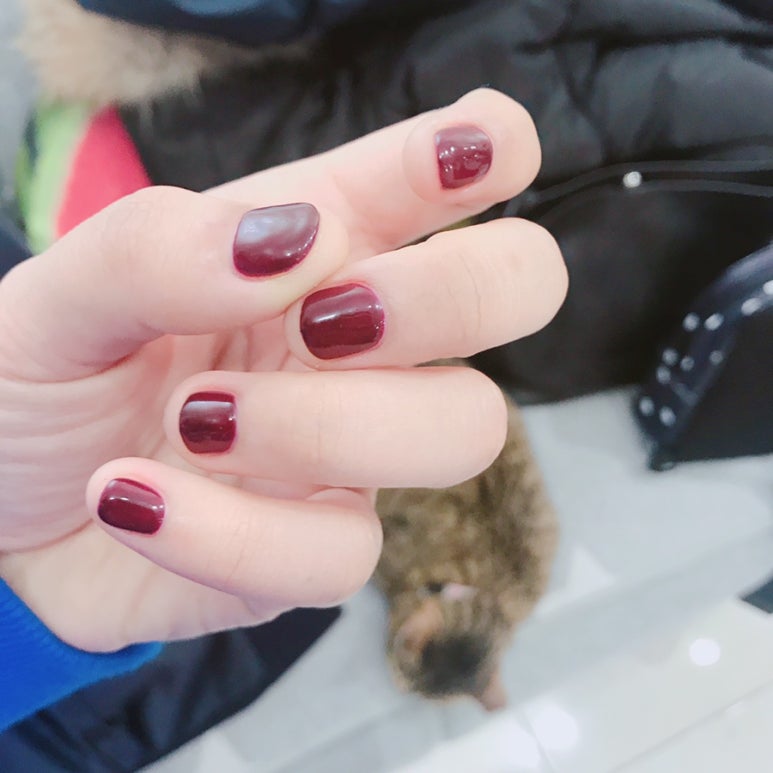 야옹네일 이미지