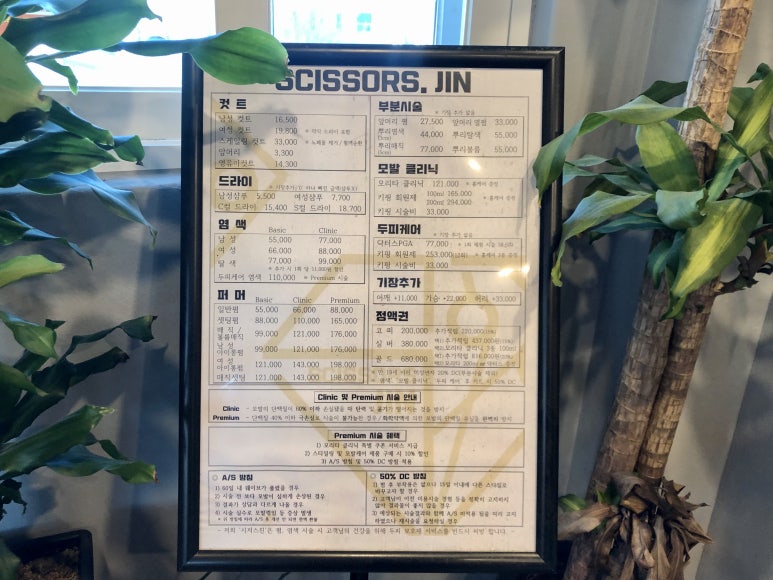 브라운시저스 이미지