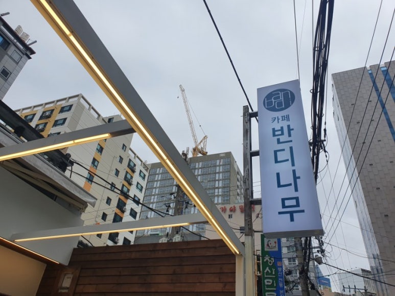 카페반디나무 이미지