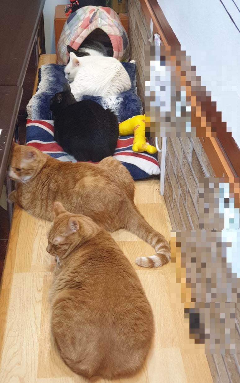 다쓸다 이미지