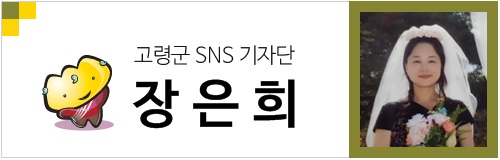 대가한방족발 이미지