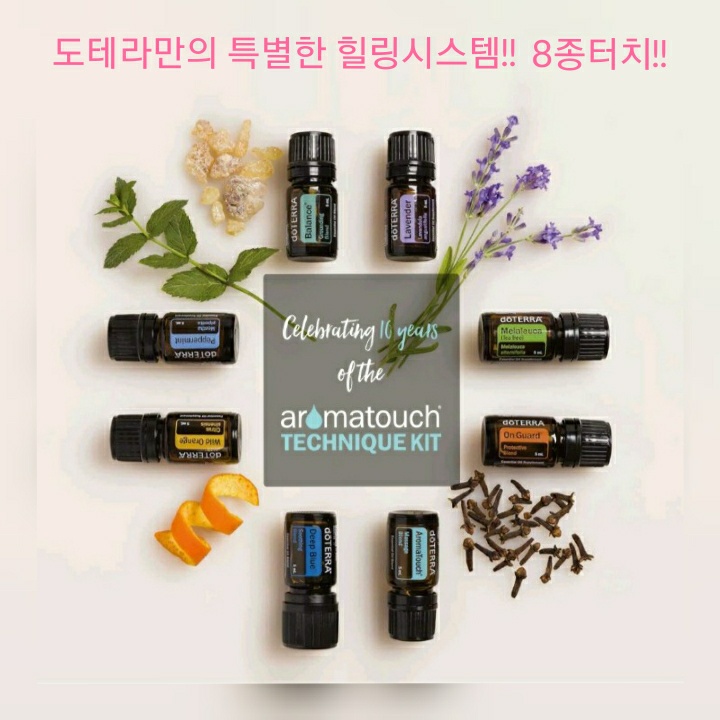 영아로마 이미지