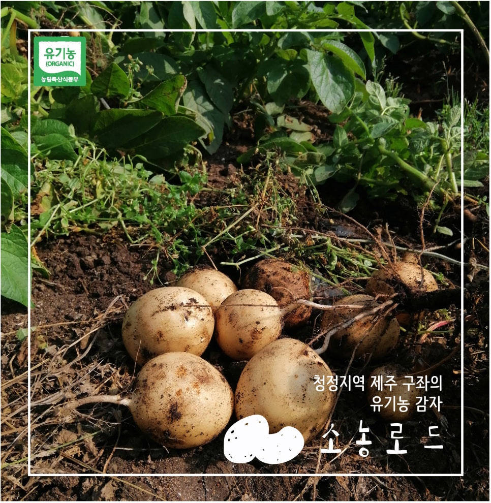 협동조합 성북신나 이미지
