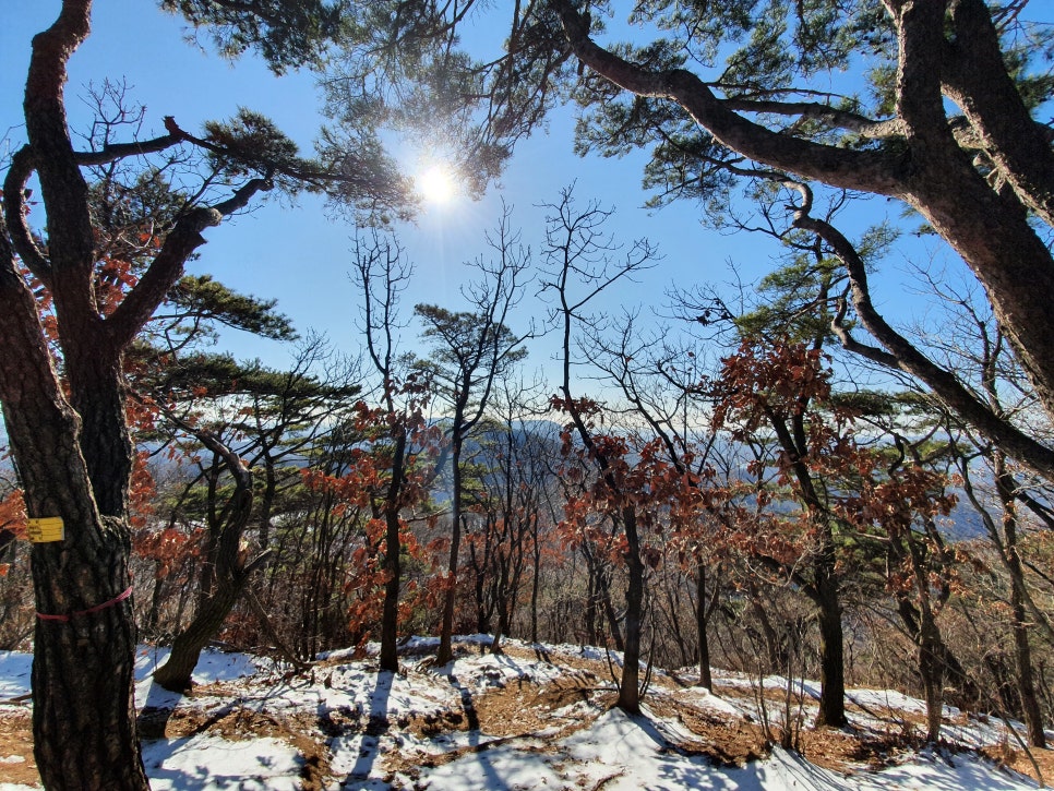 오이이핏 이미지