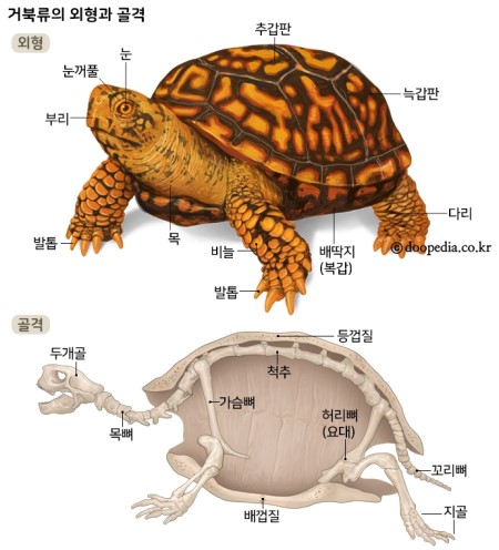 어블리 이미지