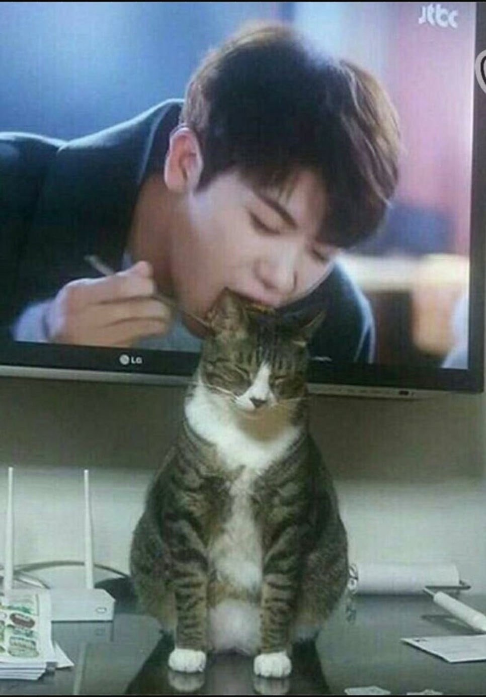 놀숲 송파구청점 이미지