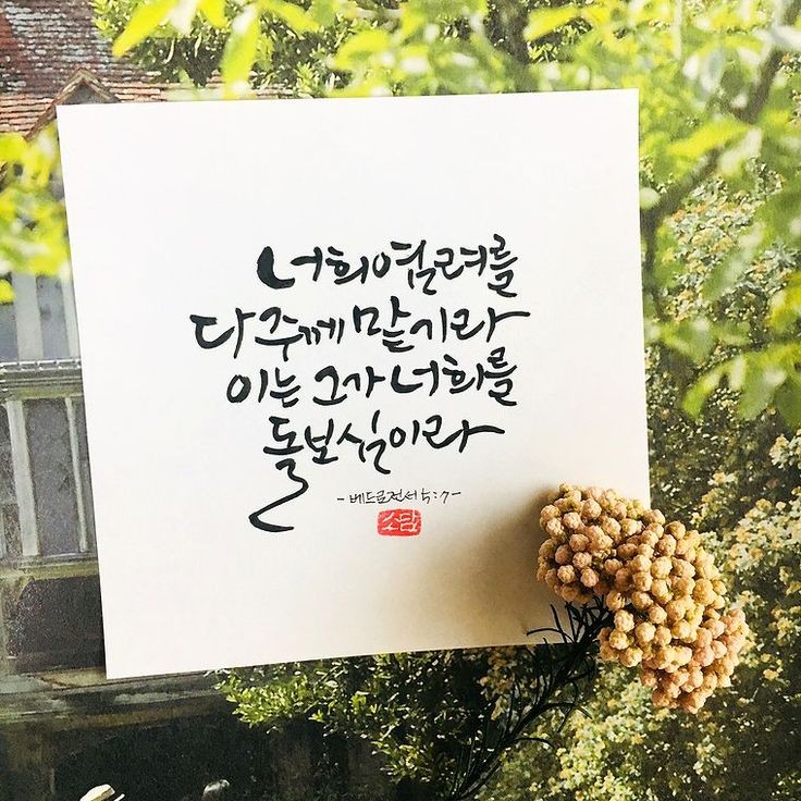 성경그릇 이미지