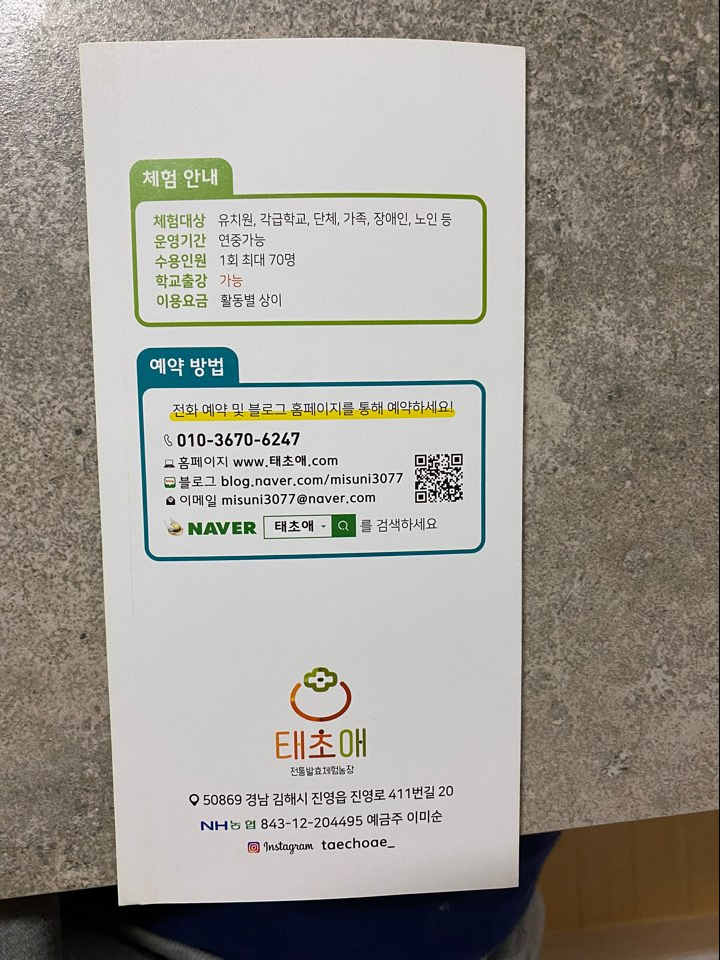 태초애 이미지