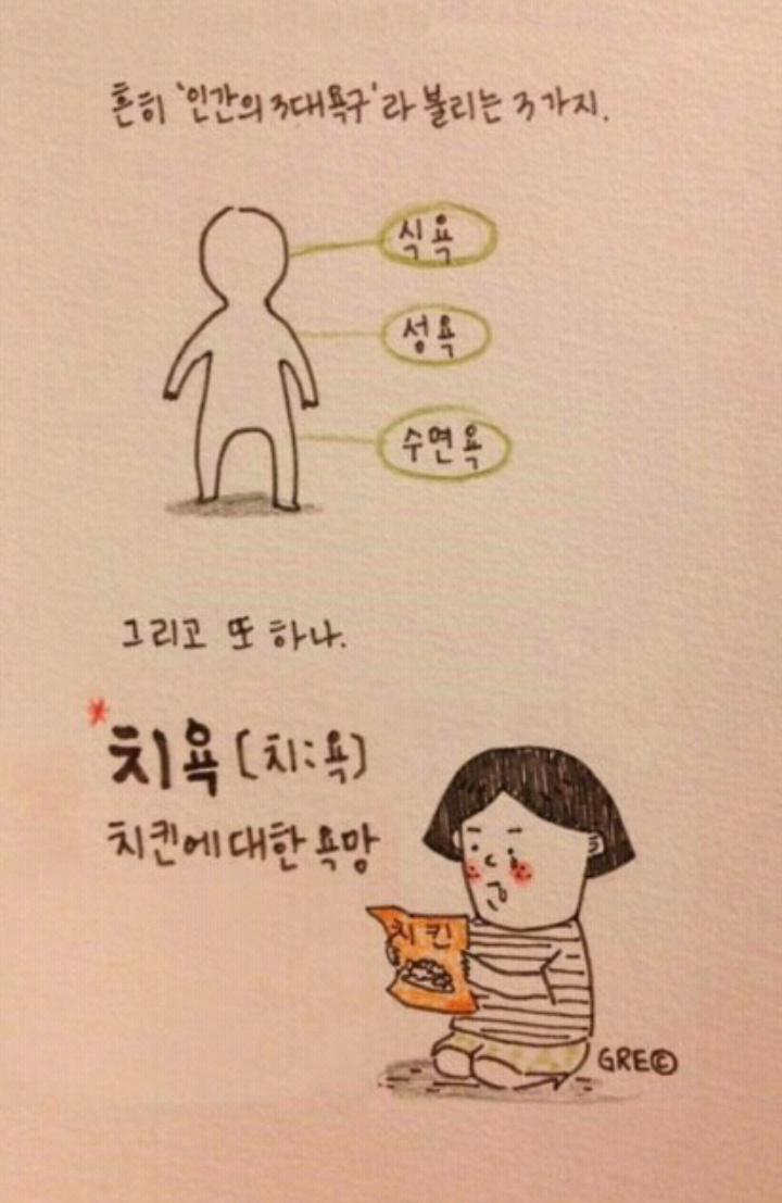 허니치킨 이미지