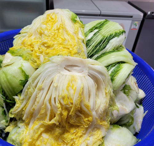 백프로식품 이미지