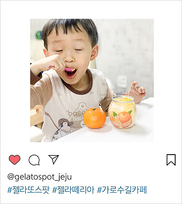 팜젤라또 이미지