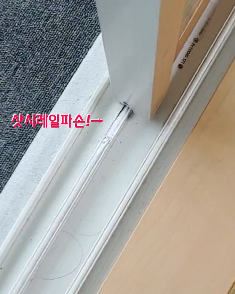 팔도샷시 이미지