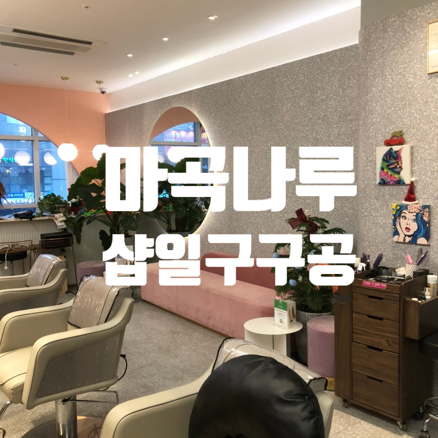 샵일구구공 이미지