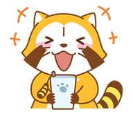 미씨콜렉션 이미지