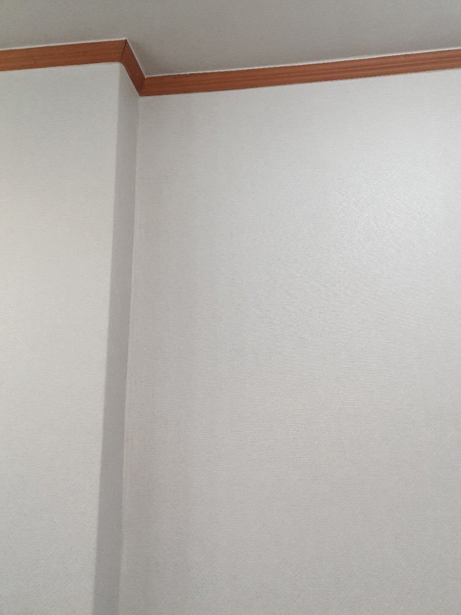 대성샾 이미지