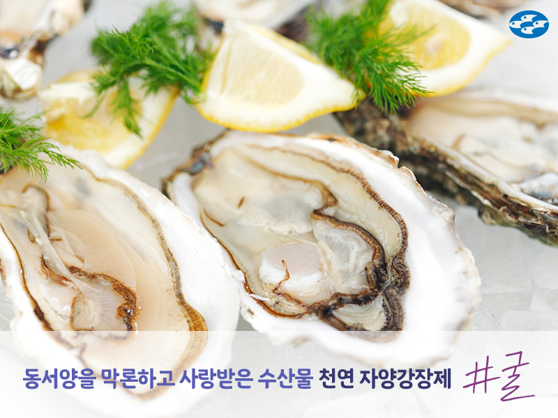 이달의바다 이미지