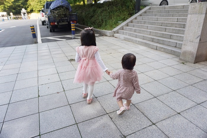 지온숲 이미지