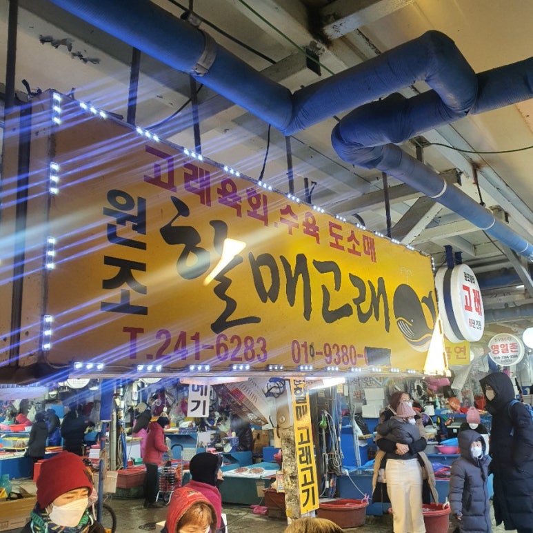 고래건어물 이미지