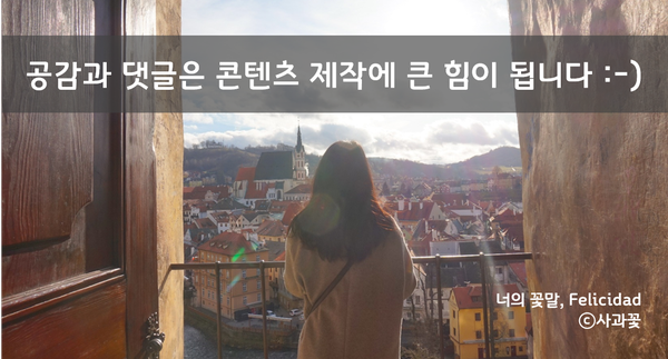 샵일구구공 이미지