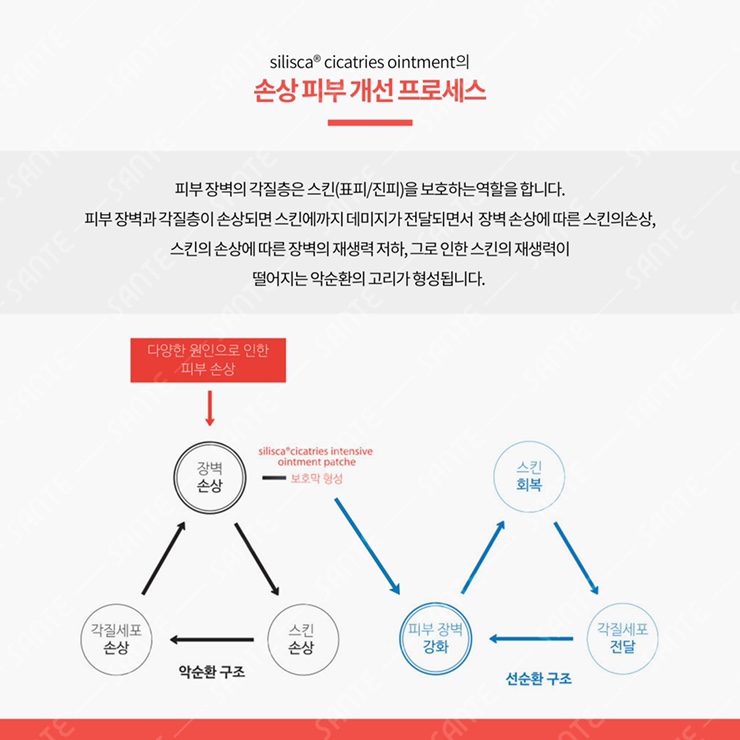 루비스킨 이미지