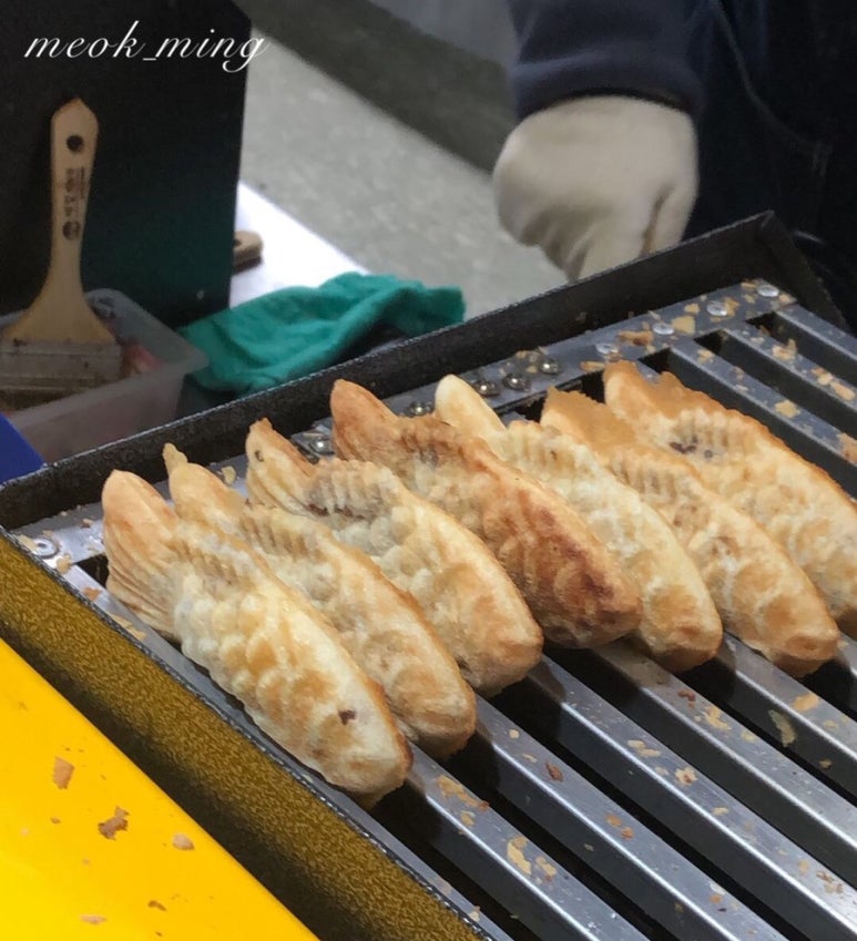 아란어가 이미지