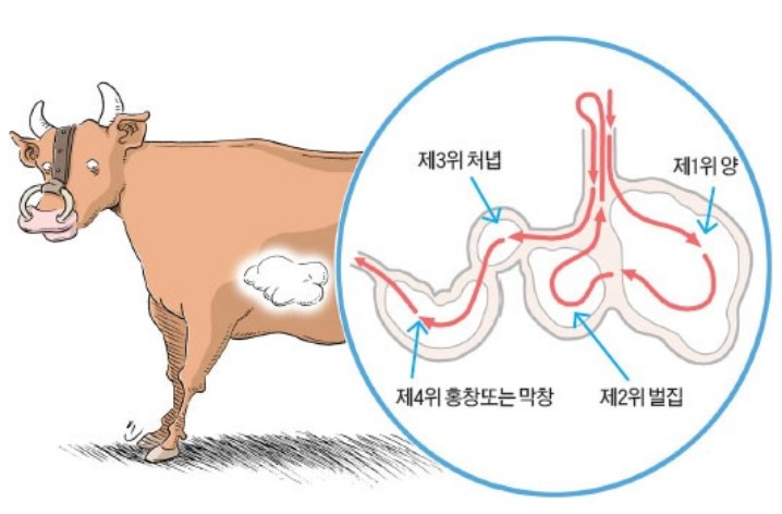 오마이양대창 이미지
