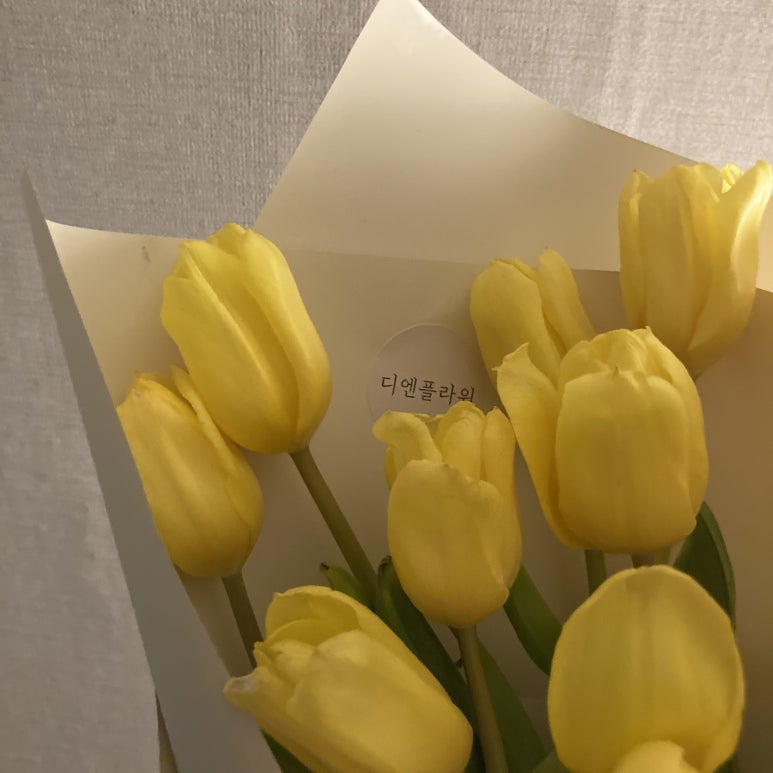 디엔플라워 이미지