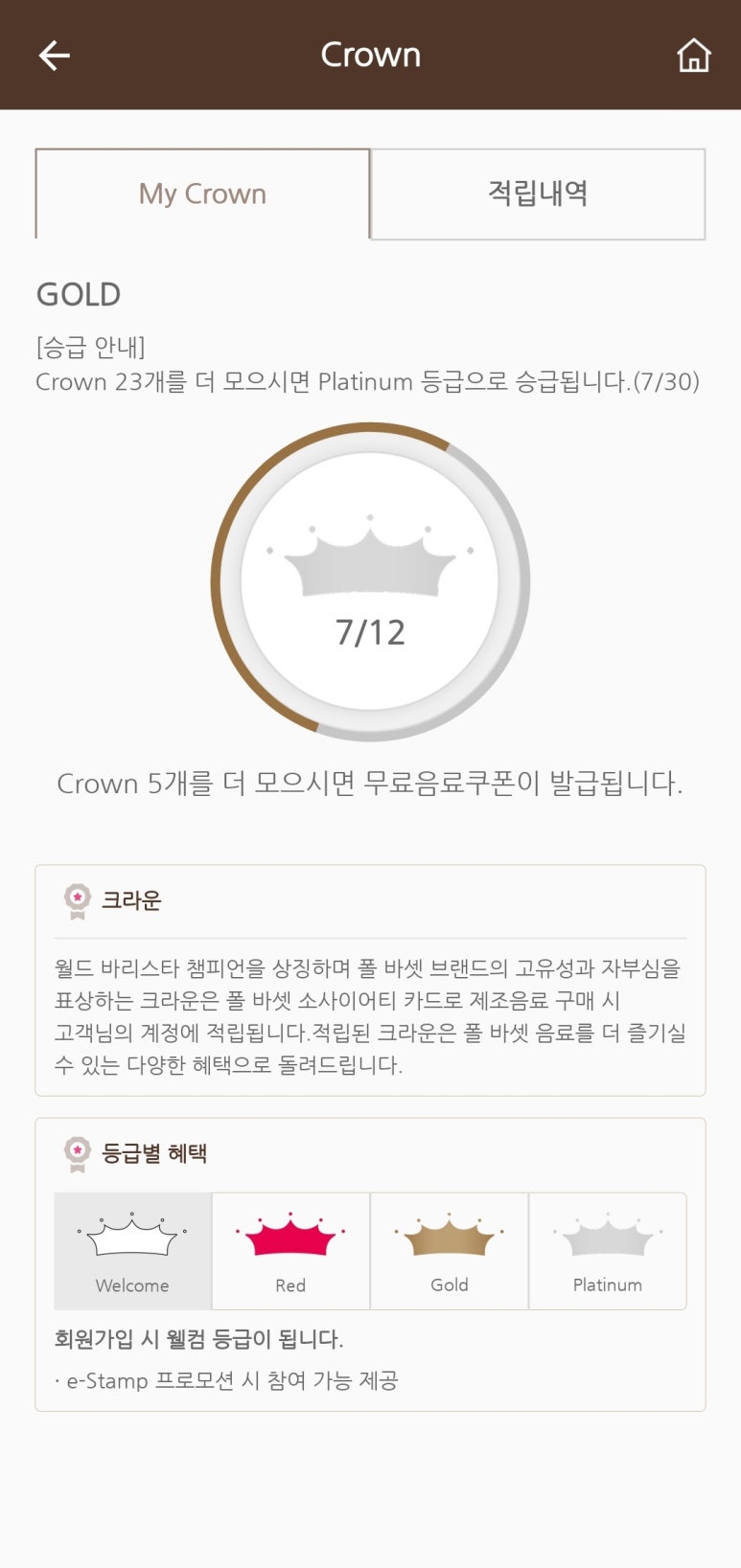 폴바셋롯데백화점 이미지