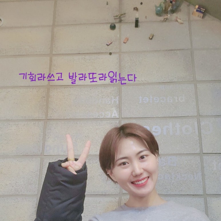 더미다움인셀덤 이미지
