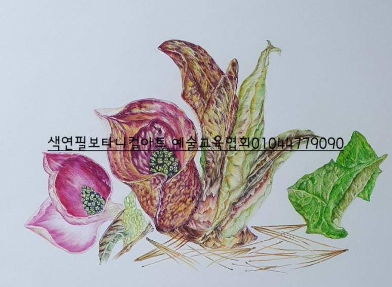 보타니컬아트예술문화교육협회 이미지
