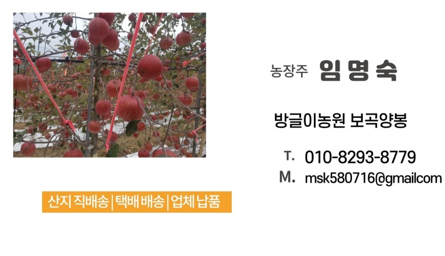올라인 이미지