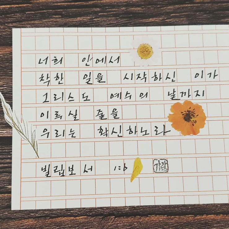 가람(이*일) 이미지