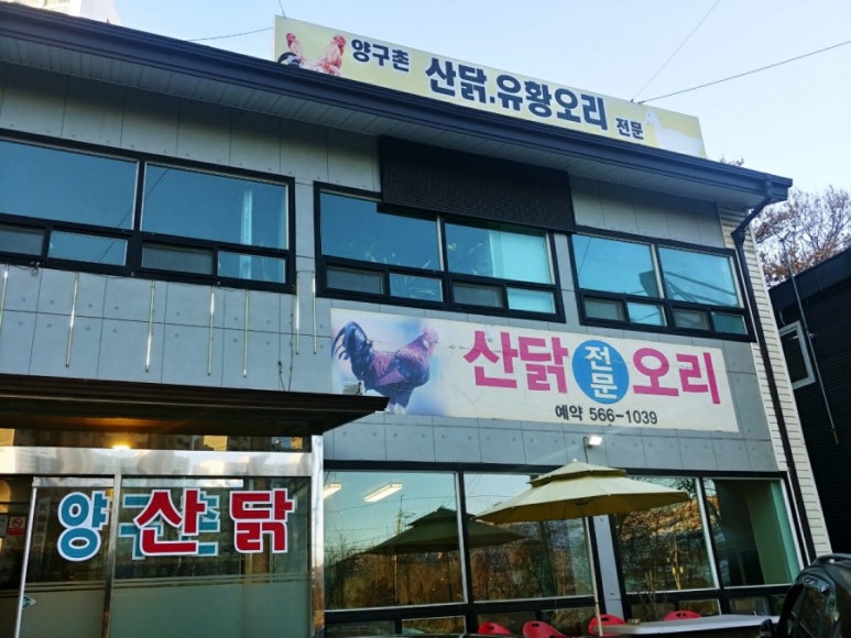 양구촌백숙 이미지