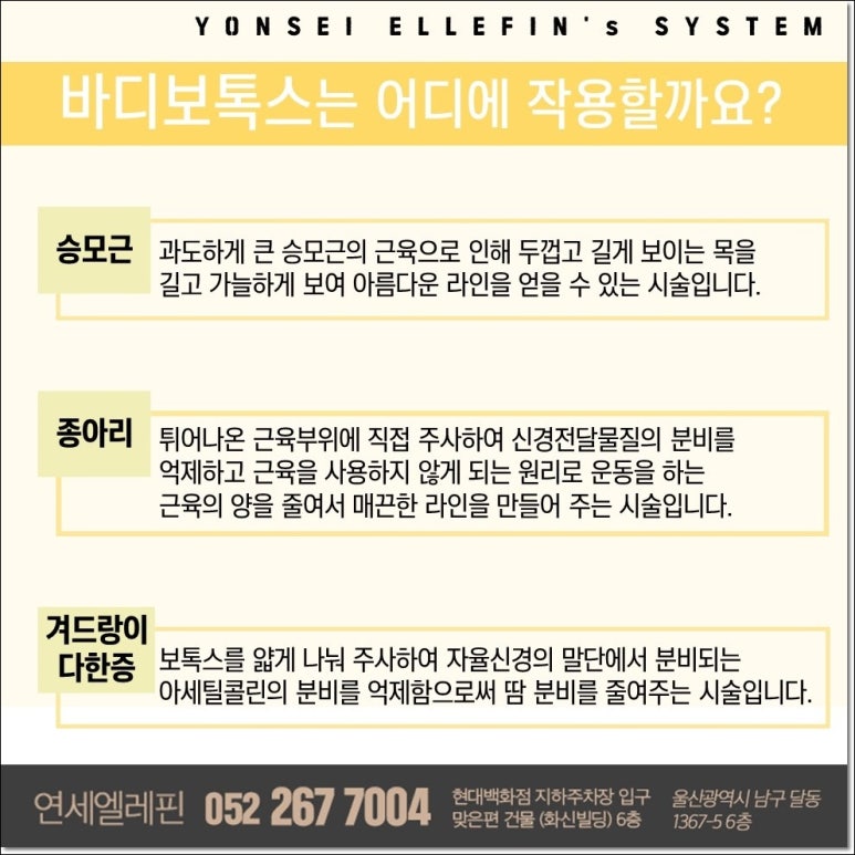 연세엘레핀의원 이미지