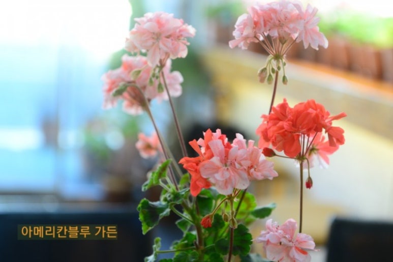 수지뷰티 이미지
