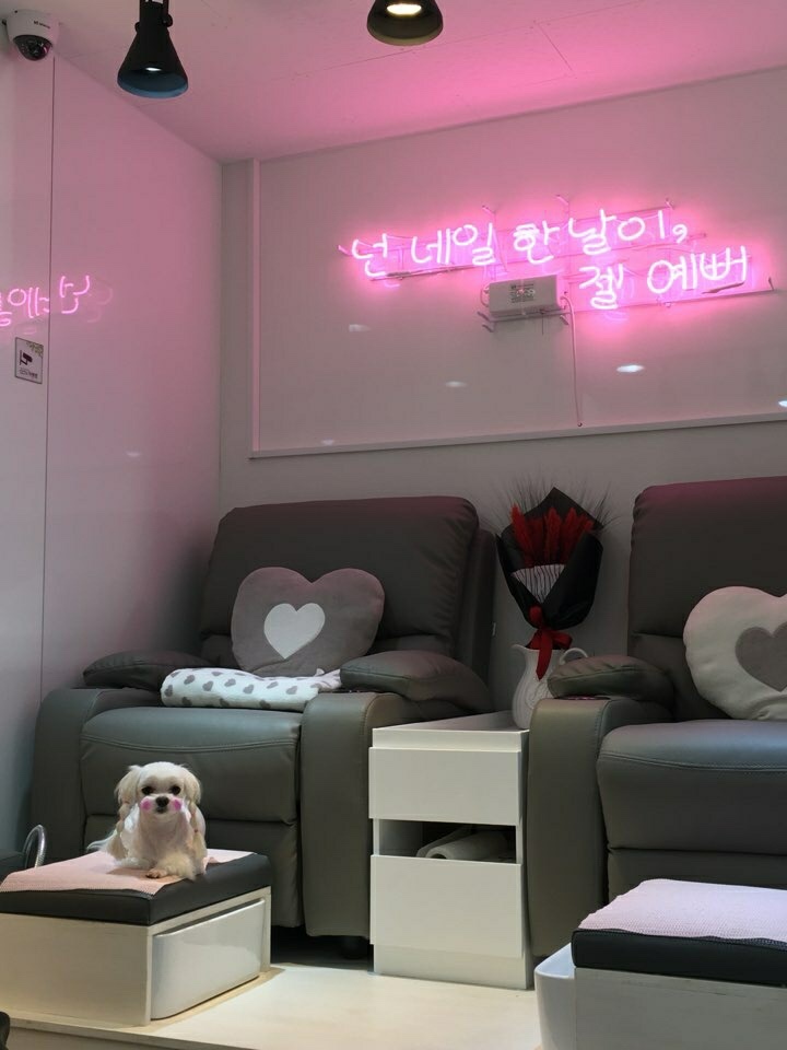 엣지네일 이미지