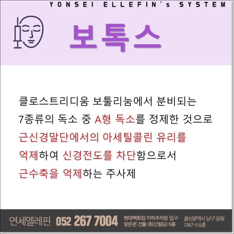 연세엘레핀의원 이미지