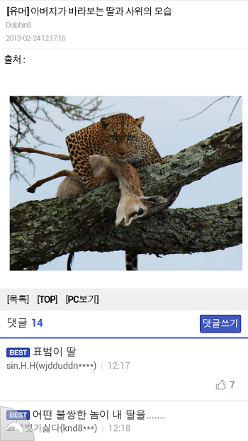 꿍까 이미지