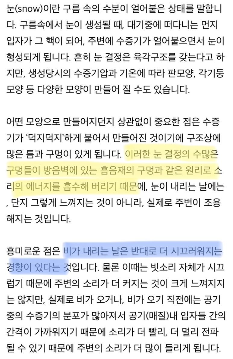 낭만사시미 이미지
