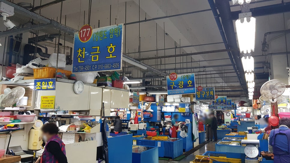천금호 이미지