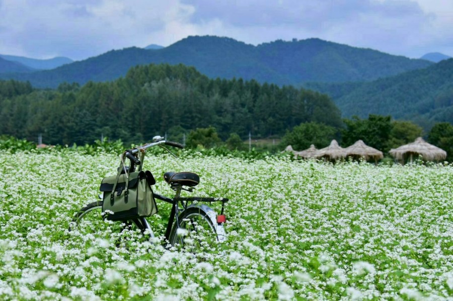 아라여행 이미지