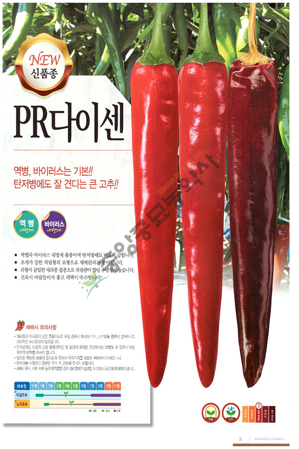건탑 이미지
