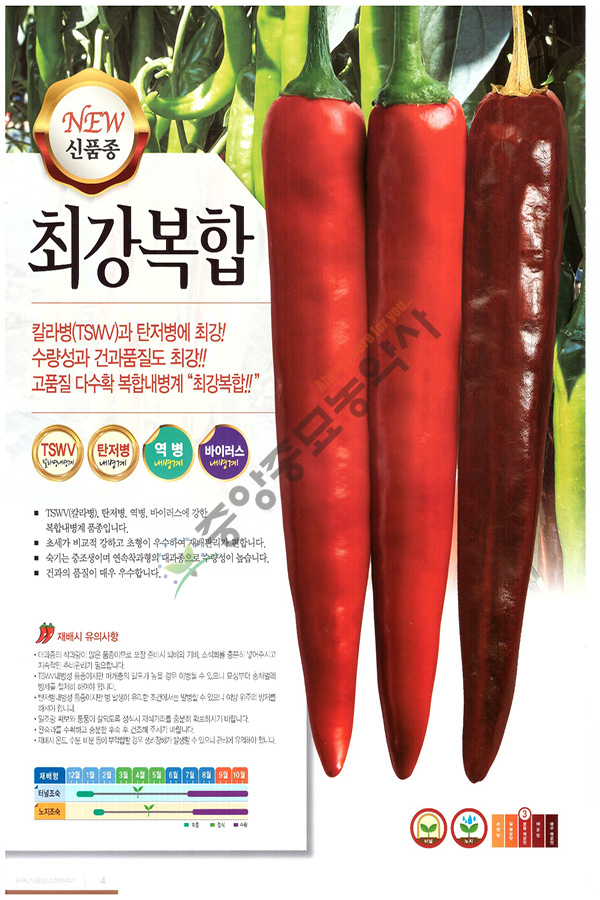 건탑 이미지