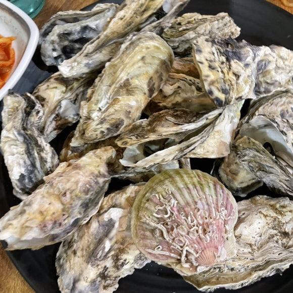 용팔이포차 이미지