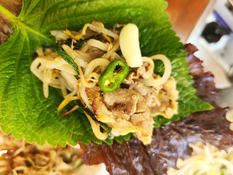 오리궁디 이미지