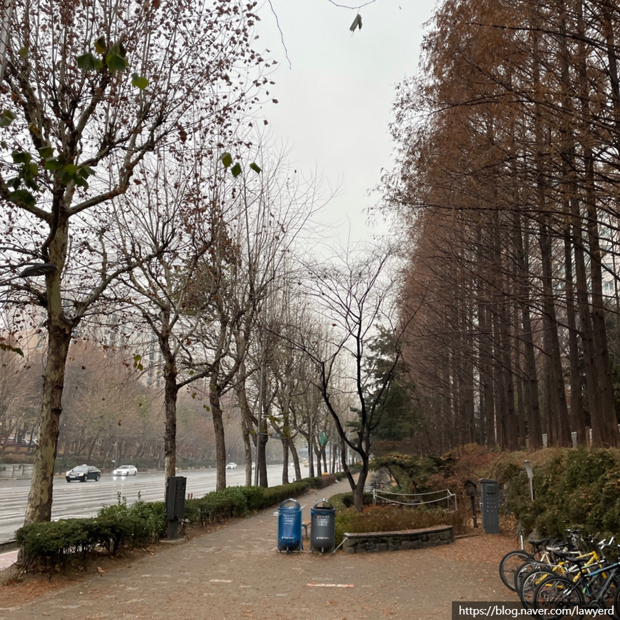 세인트1217 이미지