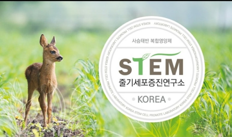 디플광고 이미지