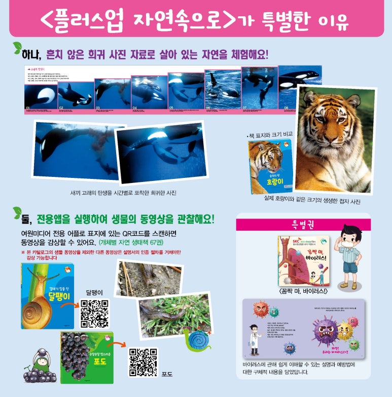 자연속으로 이미지