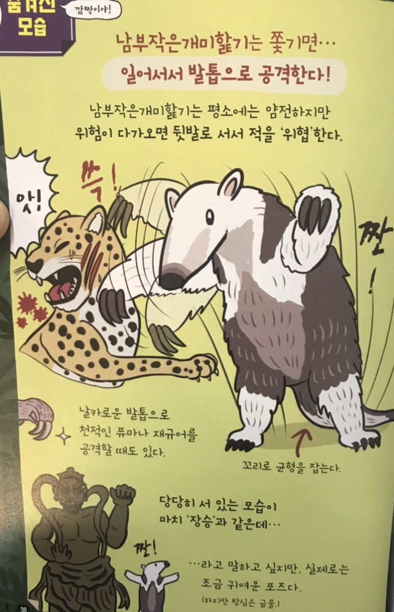 슬로쓰 이미지