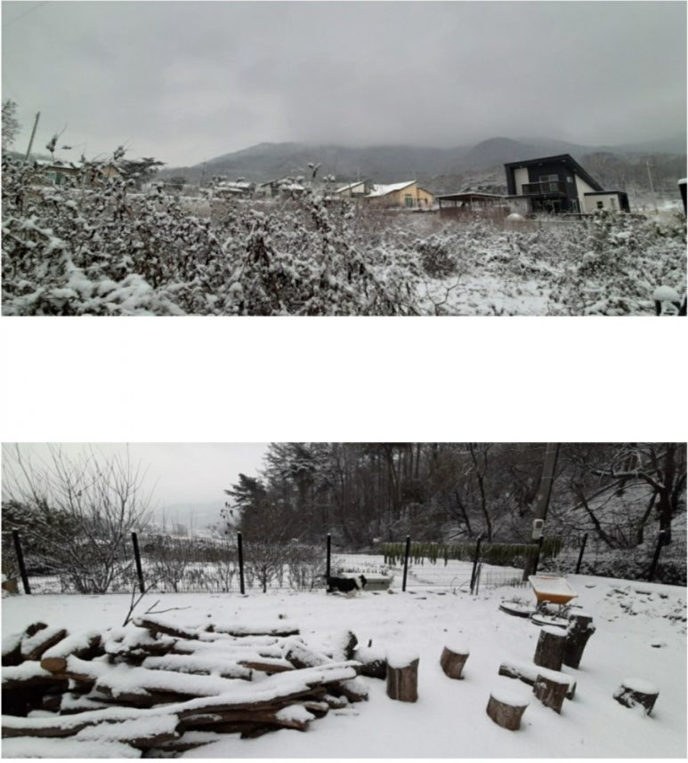 우공책방 이미지
